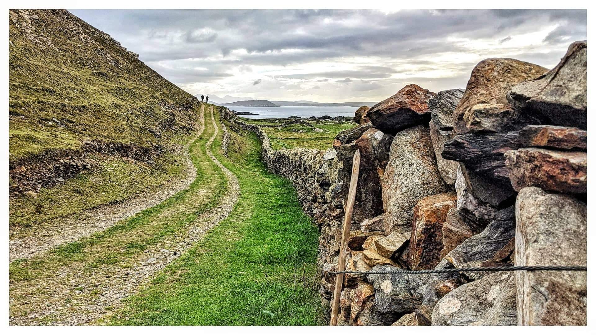 The West Quarter Loop walking trail on Inishbofin, Connemara, Co. Galway, with dry stone walls leading towards the Atlantic