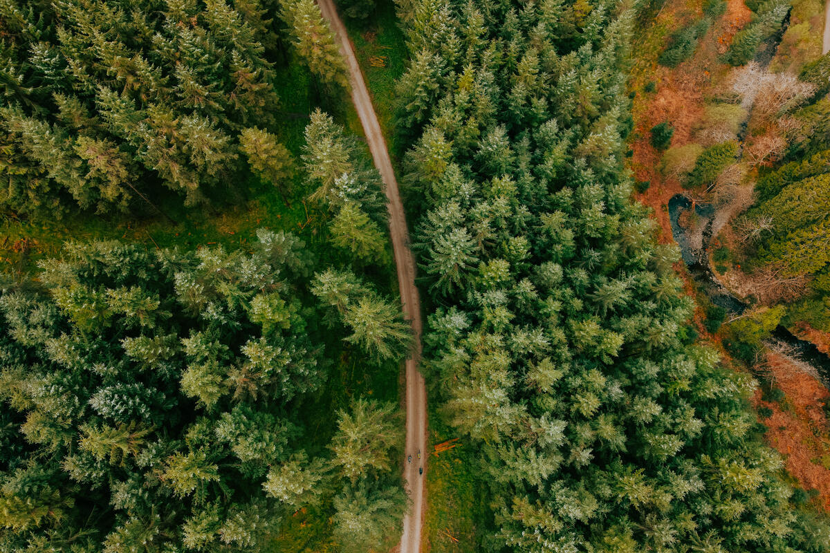 Aerial view of a forest trail in the Slieve Bloom Mountains, County Laois