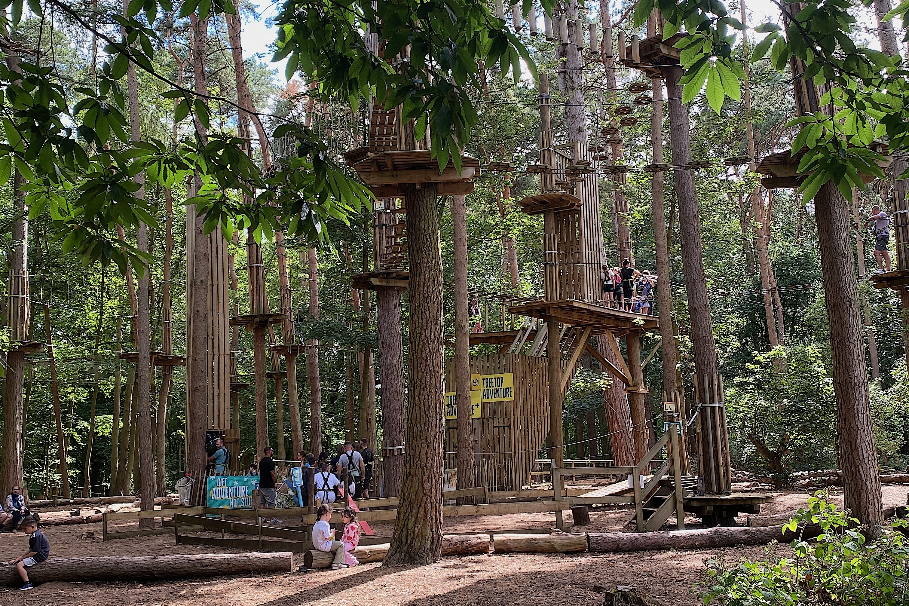 A treetop adventure course with high ropes and platforms in a forest canopy, similar to the experience at Zipit Donadea